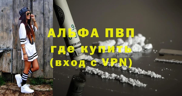дживик Абинск