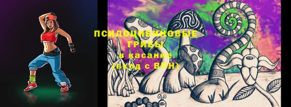 дживик Абинск