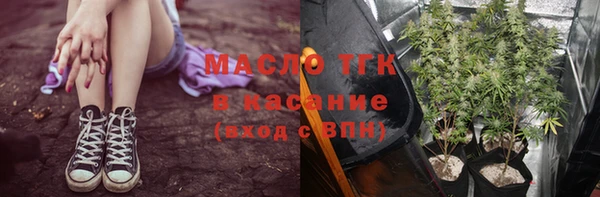 дживик Абинск