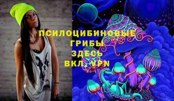 дживик Абинск